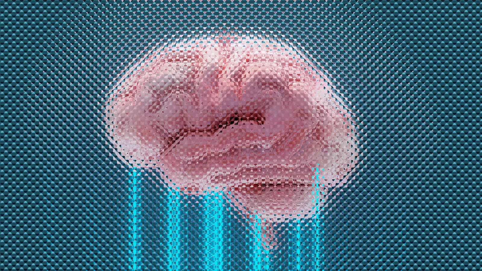 a gamblers' brain